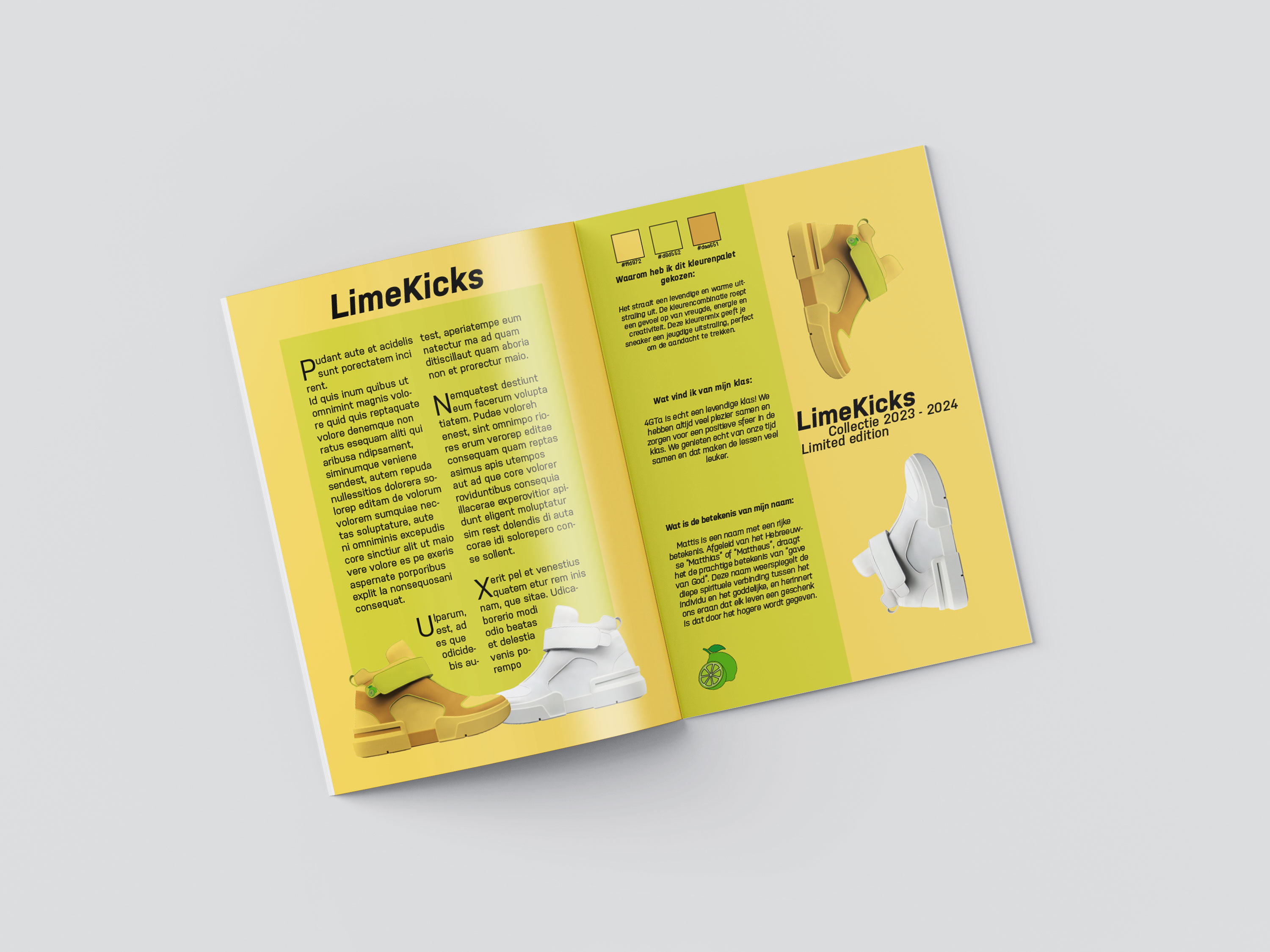 Mockup van mijn sneaker magazine.